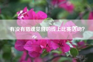 有没有猎魂觉醒的线上比赛活动？