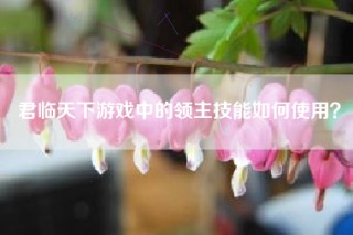 君临天下游戏中的领主技能如何使用？