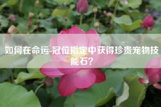 如何在命运-冠位指定中获得珍贵宠物技能石？