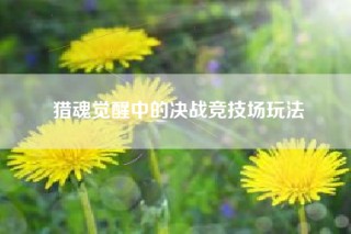 猎魂觉醒中的决战竞技场玩法