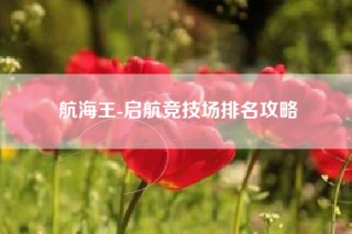 航海王-启航竞技场排名攻略