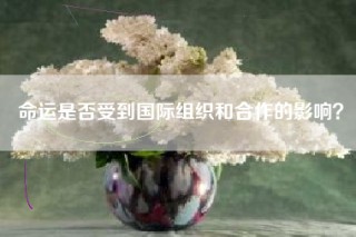 命运是否受到国际组织和合作的影响？