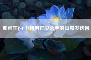 如何在PvP中利用亡灵杀手的高爆发伤害