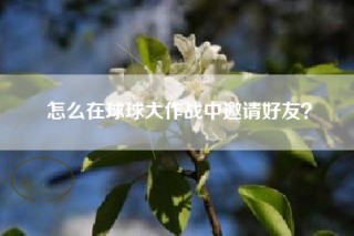 怎么在球球大作战中邀请好友？