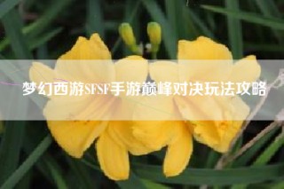 梦幻西游SFSF手游巅峰对决玩法攻略