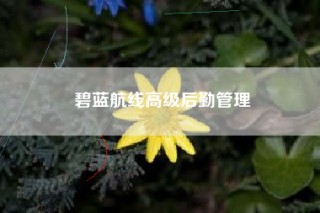碧蓝航线高级后勤管理