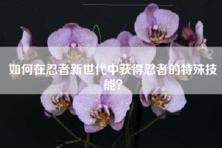 如何在忍者新世代中获得忍者的特殊技能？