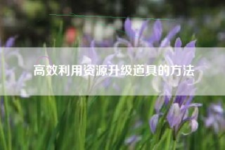 高效利用资源升级道具的方法