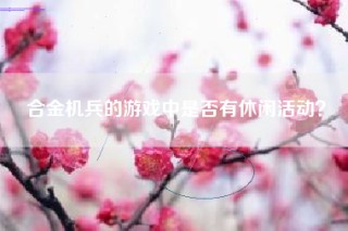 合金机兵的游戏中是否有休闲活动？
