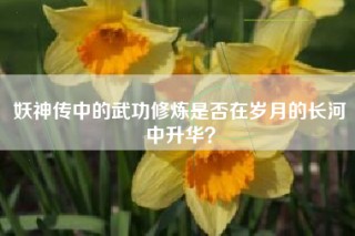 妖神传中的武功修炼是否在岁月的长河中升华？