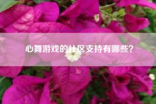 心舞游戏的社区支持有哪些？