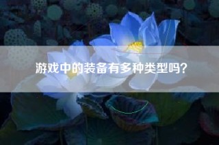 游戏中的装备有多种类型吗？