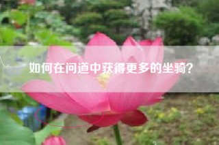 如何在问道中获得更多的坐骑？