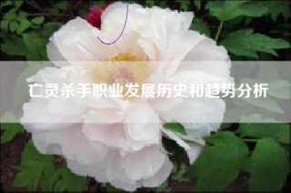 亡灵杀手职业发展历史和趋势分析