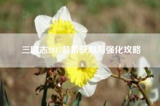 三国志2017装备获取与强化攻略