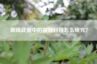 巅峰战舰中的联盟科技怎么研究？