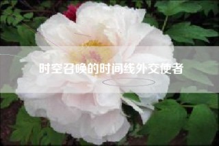 时空召唤的时间线外交使者