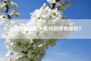 《古墓丽影》系列游戏有哪些？