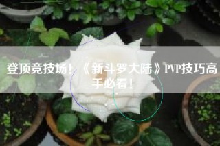 登顶竞技场！《新斗罗大陆》PVP技巧高手必看！