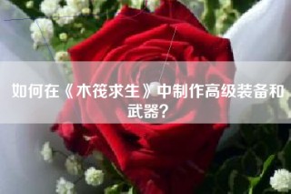 如何在《木筏求生》中制作高级装备和武器？