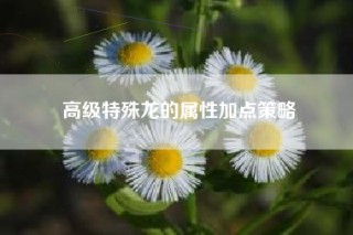 高级特殊龙的属性加点策略