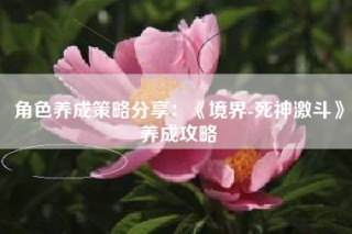 角色养成策略分享：《境界-死神激斗》养成攻略