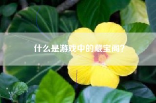 什么是游戏中的藏宝阁？