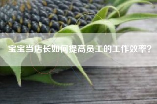 宝宝当店长如何提高员工的工作效率？