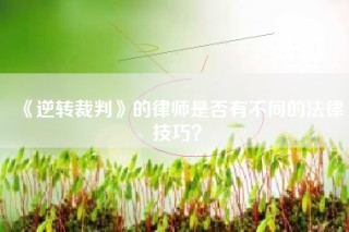 《逆转裁判》的律师是否有不同的法律技巧？