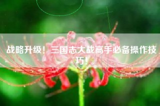 战略升级！三国志大战高手必备操作技巧！