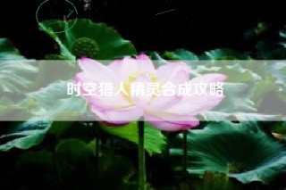 时空猎人精灵合成攻略