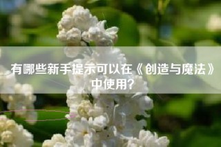 有哪些新手提示可以在《创造与魔法》中使用？