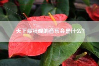 天下最壮观的音乐会是什么？