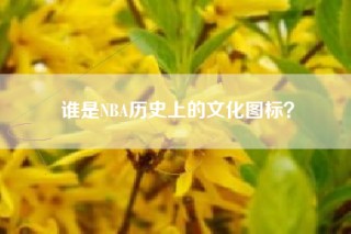 谁是NBA历史上的文化图标？