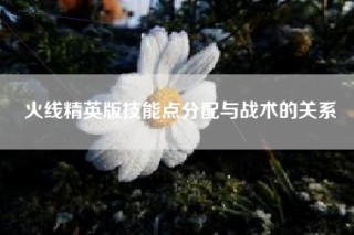 火线精英版技能点分配与战术的关系