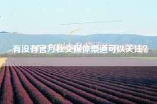 有没有官方社交媒体渠道可以关注？