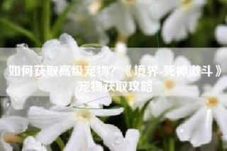 如何获取高级宠物？《境界-死神激斗》宠物获取攻略
