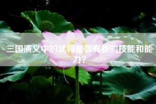 三国演义中的武将是否有新的技能和能力？