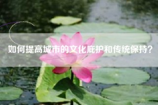 如何提高城市的文化庇护和传统保持？