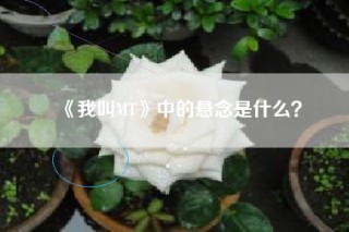 《我叫MT》中的悬念是什么？