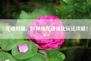 龙魂附魔，妖神传龙魂强化玩法攻略！