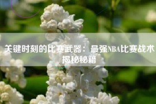 关键时刻的比赛武器：最强NBA比赛战术揭秘秘籍