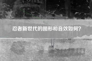 忍者新世代的图形和音效如何？