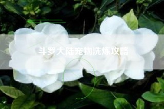 斗罗大陆宠物洗炼攻略