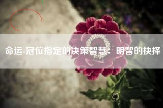 命运-冠位指定的决策智慧：明智的抉择
