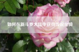 如何在新斗罗大陆中获得传说坐骑