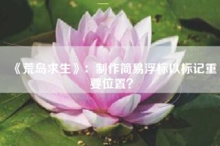 《荒岛求生》：制作简易浮标以标记重要位置？