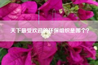 天下最受欢迎的环保组织是哪个？