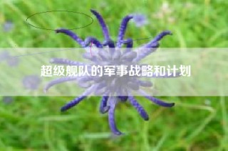 超级舰队的军事战略和计划