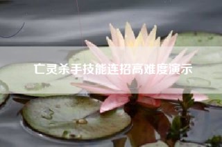 亡灵杀手技能连招高难度演示